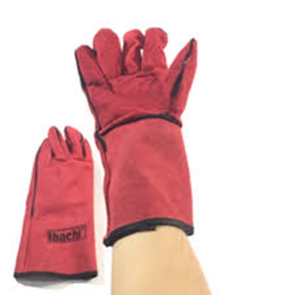 Ibachi 16 Leather Gloves Inc