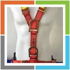 Full body harness ADELA HK45 standar eropa 7