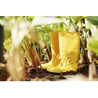 Sepatu safety Petrova Pro Kuning  3
